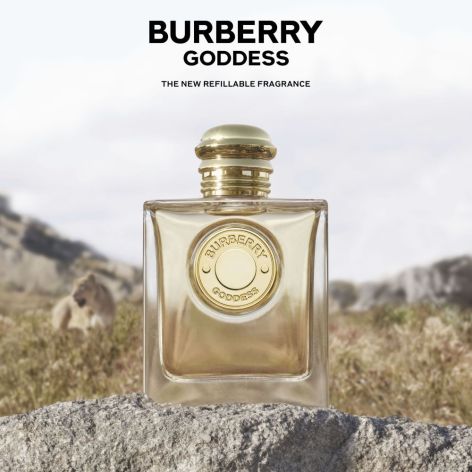 burberry valencia precios
