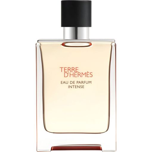 Herm&egrave;s Terre D'Herm&egrave;s Intense Eau de parfum intense para hombre