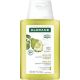 Klorane Shampooing Á La Pulpe De Cédrat Champú neutraliza y tonifica la fibra capilar para el cabello normal con tendencia a grasa 400 ml