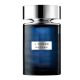 Rochas L'Homme 100 ml