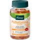 Kneipp Multivitaminas Gummies Complemento Alimenticio Complemento alimenticio aporta energía vitalidad y ayuda a la actividad inmunitaria 60 uds