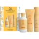 Wella Professionals Sun Care Estuche Set capilar profesional protege después del sol con provitamina b5 para todo tipo de cabello
