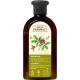 Green Pharmacy Ginseng Y Aceite De Menta Marroquí Champú Champú vegano previene la caída y regula las glándulas sebáceas para cabello sensible 350 ml