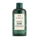 The Body Shop Tea Tree Gel Shampoo Purifying & Balancing Champú purificante y equilibrante válido para cabellos grasos de árbol del té 250 ml