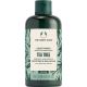 The Body Shop Tea Tree Conditioner Purifying & Balancing Acondicionador purificante y equilibrante válido para cabellos grasos con árbol del té 250 ml