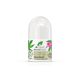 Dr.Organic Organic Hemp Oil Desodorante Roll-On Desodorante vegano sin alcohol protección duradera y eficaz 50 ml