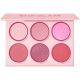 Sheglam Floral Flush Blush Palette Paleta de colorete de textura suave ofrece luminosidad todo el día para un acabado de aspecto natural 6 tonos