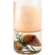 Ambar Botanic Naranja Y Canela Vela Decorativa Vela con aroma a naranja y canela efecto energizante ideal para relajarte y crear un ambiente acogedor 125 gr