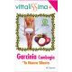 Vittalissima Garcinia Cambogia Complemento Alimenticio Complemento alimenticio controla la sensación de hambre y reduce el almacenamiento de grasas 40 uds