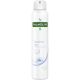 Nb Palmolive Tacto Puro Desodorante Spray Desodorante sin alcohol con extracto puro de leche 24 horas 200 ml