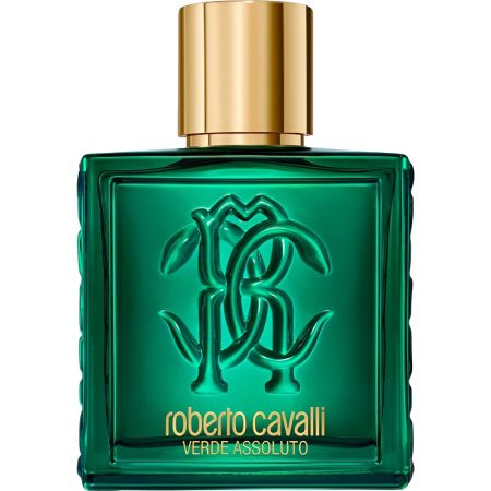 Roberto Cavalli Verde Assoluto Uomo Eau de parfum para hombre 100 ml