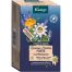 Kneipp Buenas Noches Forte Infusión De Plantas Infusión con melatonina reduce el tiempo necesario para conciliar el sueño 20 uds