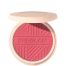 Sheglam Divine Flush Matte Blush Colorete brillo fresco jugoso y de aspecto natural aplicación uniforme y sin esfuerzo