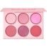 Sheglam Floral Flush Blush Palette Paleta de colorete de textura suave ofrece luminosidad todo el día para un acabado de aspecto natural 6 tonos